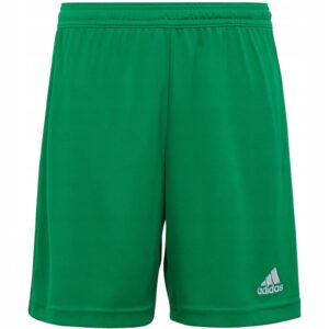 Pantaloni sport copii -  Verde - Albastru