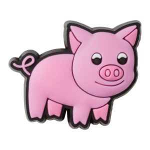 Talisman Piggy Jibbitz™ - Roz